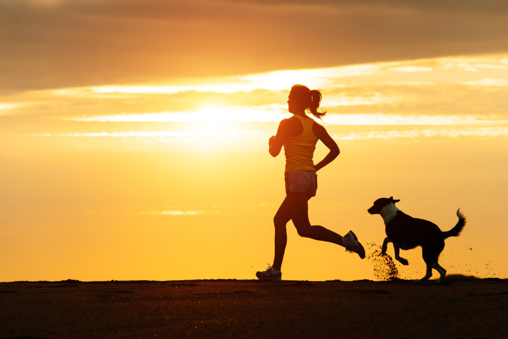 Wellness Beach Runner Woman running with her dog along the beach at sunset